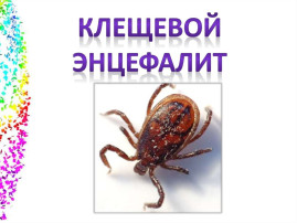 Клещевой энцефалит Клещевой энцефалит.